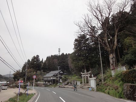 �v��{���Q