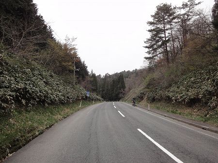 �v��{���S