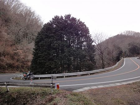 ���m�ؓ��Q