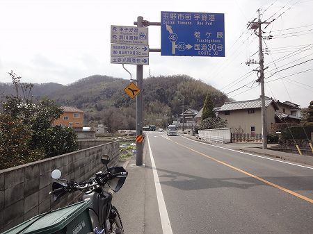 ���⓻�i����g���l���j�P