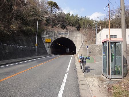 ���⓻�i����g���l���j�T