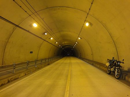 �n�����T