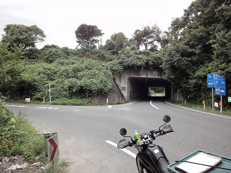 �������S