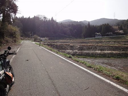 �K�����Q