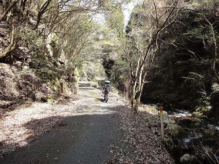 �������Q