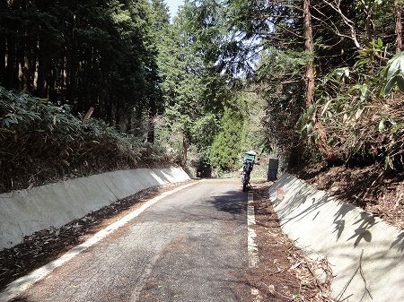 �������S