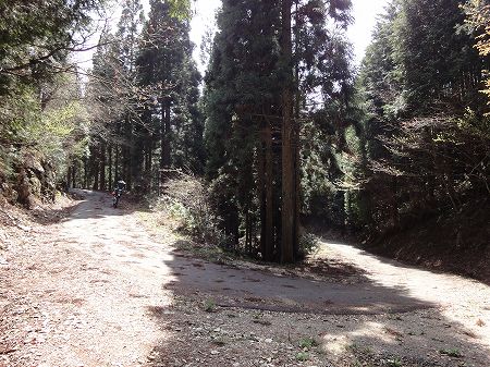 �������T