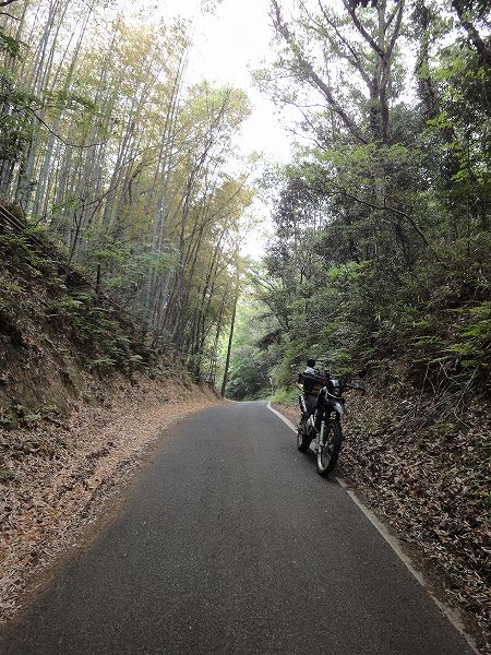 �R�����T