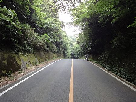 ���g�˓��S