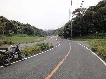 ���g�˓��T