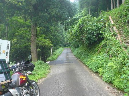 �������Q