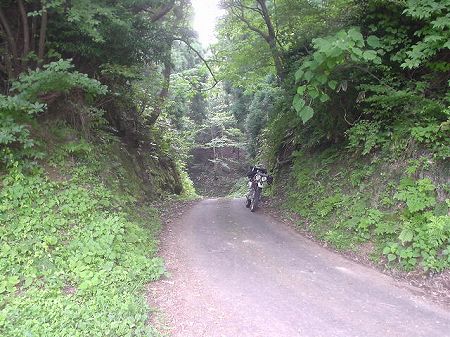 �������S