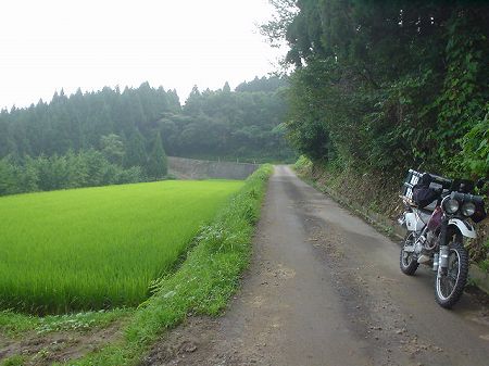 �������T