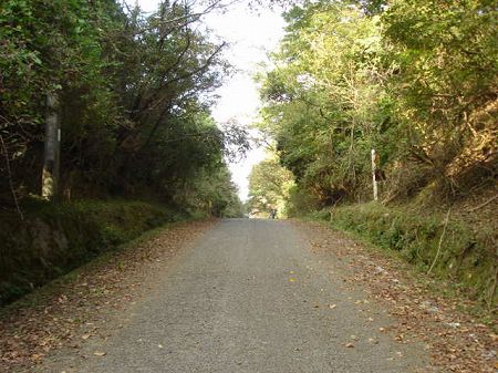 �͂炪���퓻�R