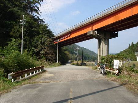 �V�����Q