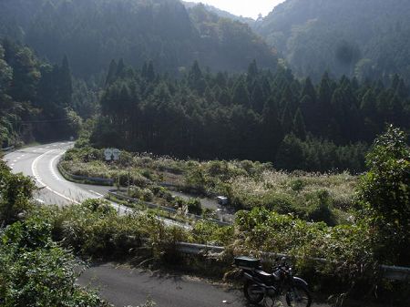 �V�����S