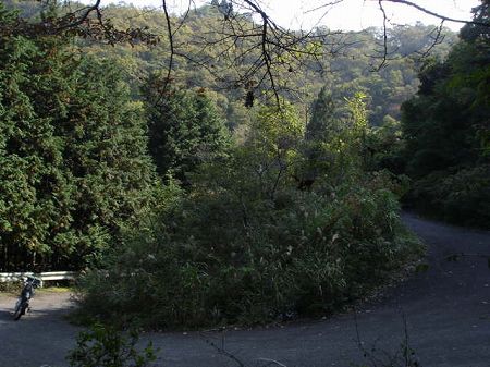 �V�����T