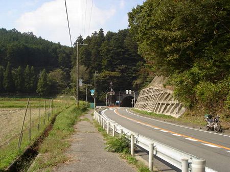 �V�����V