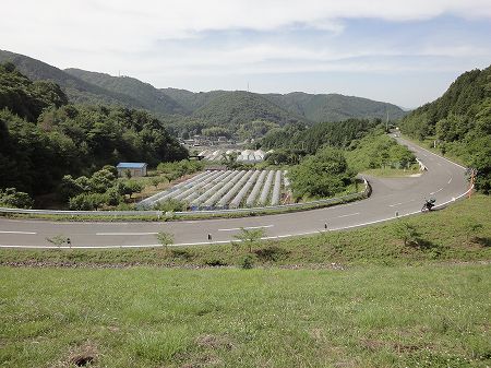 �V�Q�m���Q