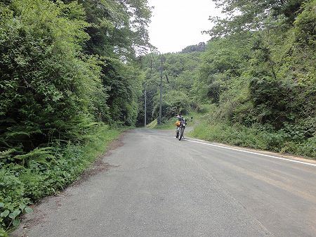 �������S