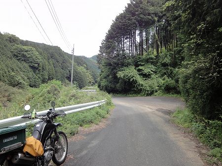 �������T