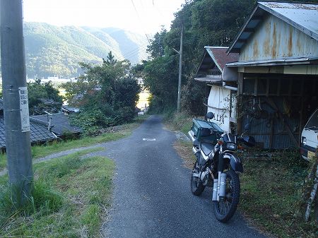 �F�����Q