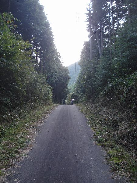 �F�����T