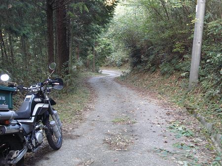 �F�����U