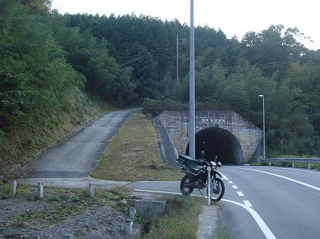 �F�����V