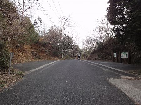 �����⓻�S