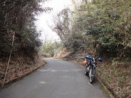 �n�����R