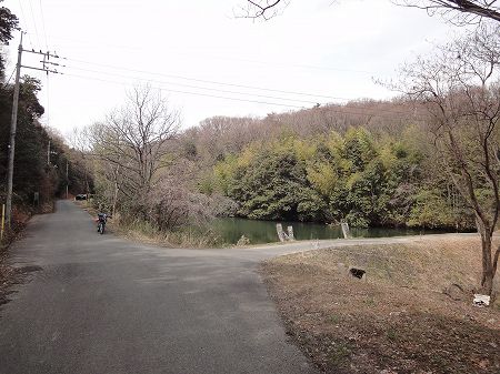 �n�����S