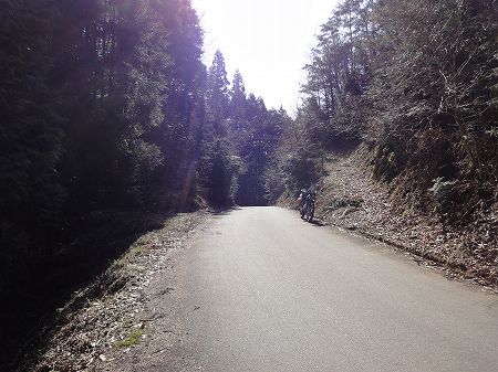 �������S