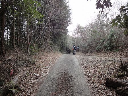 ���������S