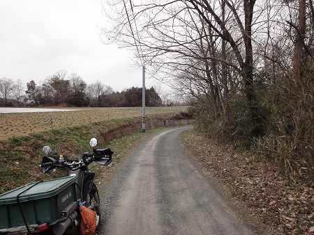 ���������T