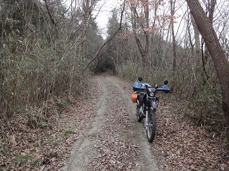 ���������U