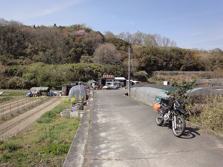 �I�������Q