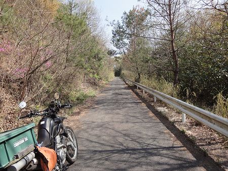 �I�������R