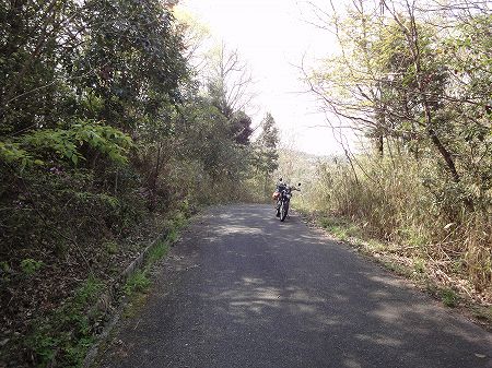 �I�������S