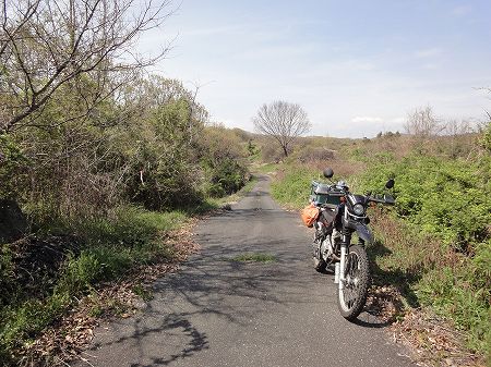 �I�������T