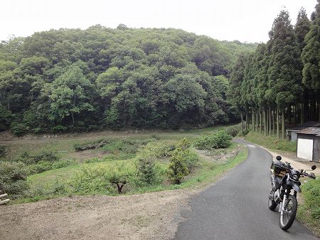 ���m�]���R