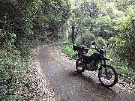 ���m�]���T