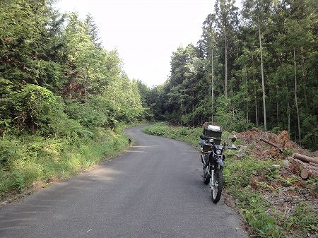 �������T