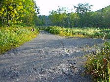 �j�\�x�ۏ��ѓ�