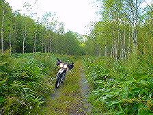 �j�\�x�ۏ��ѓ�