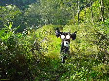 �j�\�x�ۏ��ѓ�