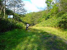 �j�\�x�ۏ��ѓ�