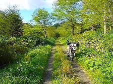 �j�\�x�ۏ��ѓ�