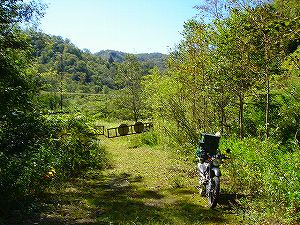 ���J��1-3�^ORR