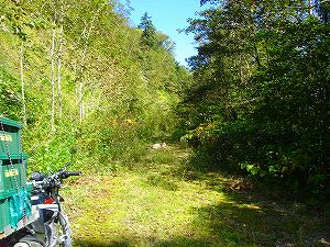 ���J��1-4�^ORR